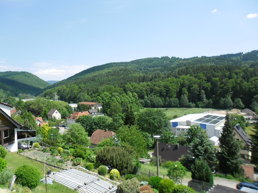 Karin'S Behagliche Ferienwohnung Benshausen 객실 사진