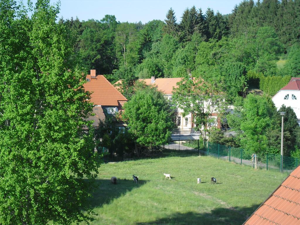 Karin'S Behagliche Ferienwohnung Benshausen 객실 사진